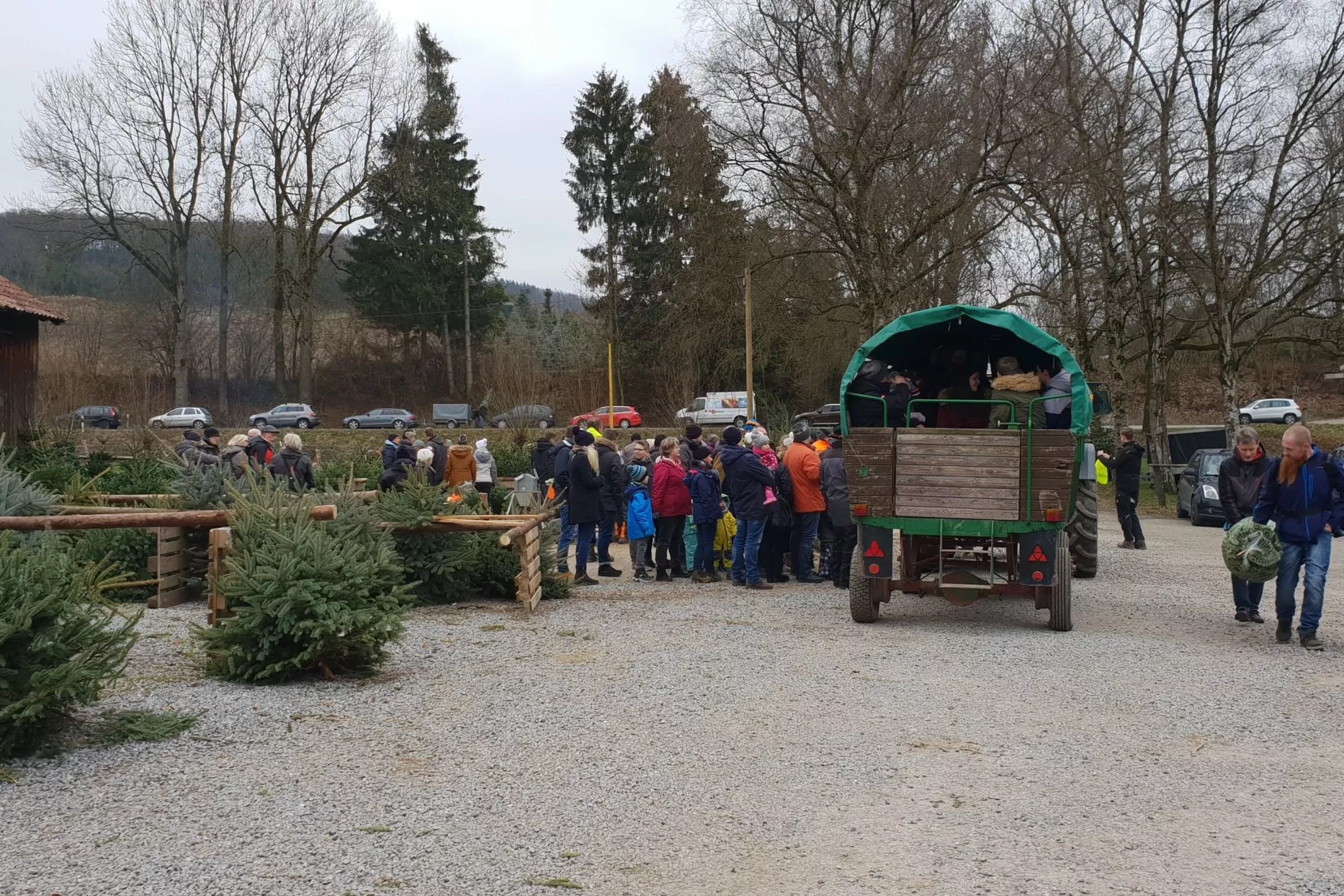 K&K Weihnachtsbaum-Aktion war ein Erfolg